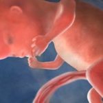 12 неделя беременности