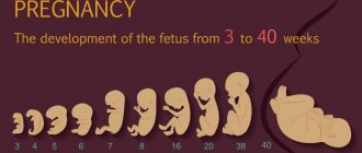 Day 23 of the discharge cycle during pregnancy 1