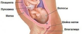 31 weeks pregnant