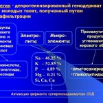 Actovegin during pregnancy. What is it prescribed for, instructions for use, reviews 