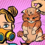 Аллергия на кошек