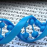 Анализ ХГЧ при внематочной