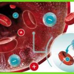 Анализ крови на антитела сдается натощак или нет