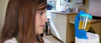 protein in urine what does it mean