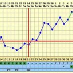 Беременные графики БТ