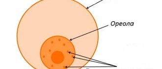 Montgomery tubercles