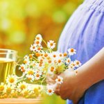 Chamomile tea for pregnant women