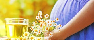 Чай из ромашки беременной