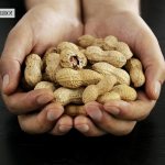What are the benefits of peanuts for pregnant women?