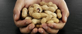 What are the benefits of peanuts for pregnant women?