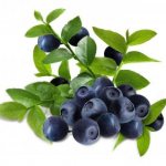 Чем полезна черника при беременности