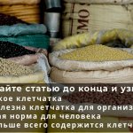 What are the benefits of fiber for the body?