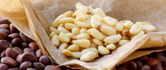 What are the benefits of pine nuts for pregnant women?