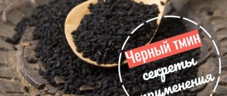 black cumin