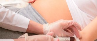 What to do if there is an increased level of bilirubin during pregnancy?