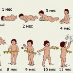 Что должен уметь ребенок в 2 месяца. Точная таблица, развитие малыша