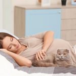 Чувствуют ли кошки беременность хозяйки