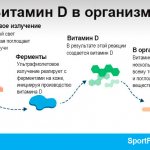 The effect of vitamin D in the human body