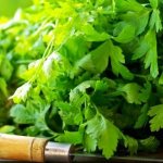 Диета при болезнях печени