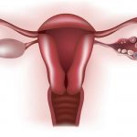 days to get pregnant