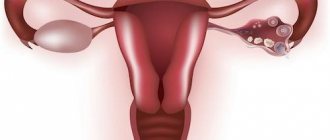 days to get pregnant