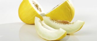 melon with guards