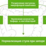 Duphalac during pregnancy. Instructions on how to drink, how it works, reviews from doctors 