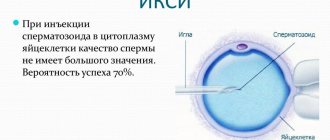 ЭКО после 40 лет