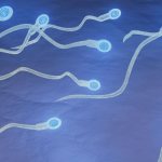 ЭКО с донорской спермой отзывы