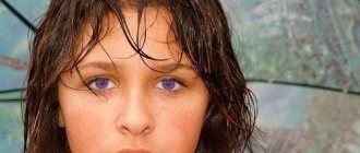 Фиолетовый цвет глаз является самым редким. На фото фиолетовые глаза в реальности