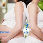 Belly shape during pregnancy: boy and girl