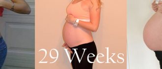 Фото живота мамы на 29 неделе беременности