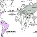 geographical distribution