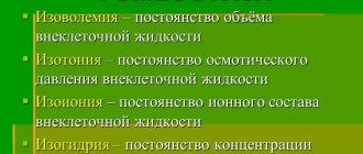 гомеостаз почек