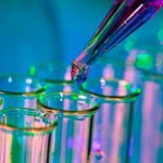 ХГЧ после ЭКО