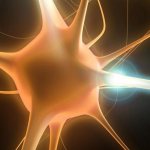 Идиопатическая периферическая вегетативная невропатия что это