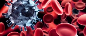 The immune system is weakened during pregnancy