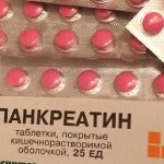 Instructions for use of Pancreatin