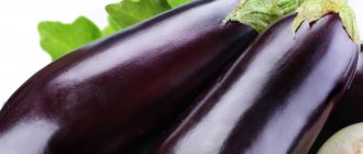 История фиолетового овоща