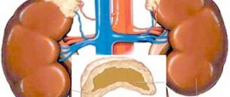 Changes in the adrenal glands during disease