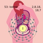 К чему может привести избыток или недостаток йода в организме