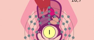 What can result from excess or lack of iodine in the body?