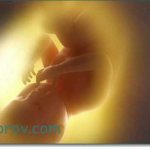 Как дети ведут себя перед родами