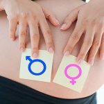 Как определить беременность по животу на ощупь 1