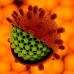 How is hepatitis A transmitted?