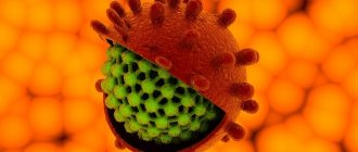 How is hepatitis A transmitted?