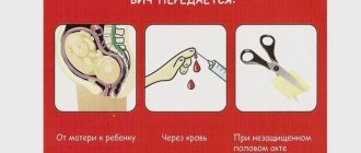 How is HIV infection transmitted?