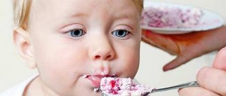 how to properly introduce cottage cheese into baby's complementary foods