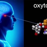 how to take oxytocin