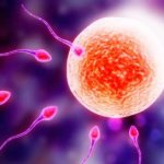 Как происходит зачатие ребенка – все секреты успешного оплодотворения